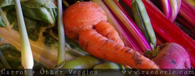 Carrots & Veggies photograph by Raederle 2012