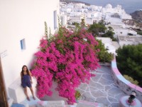 Milos una gran desconocida - Blogs de Grecia - Milos: Conociendo la isla (31)